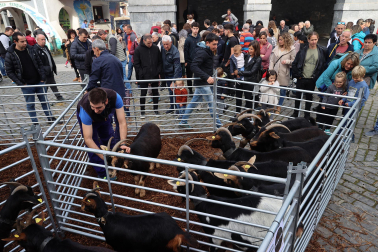Fotos de la Feria ganadera y de producto local de Leitza y Areso.