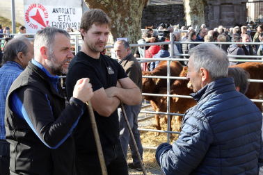 Fotos de la feria de otoño en Santesteban 2024.