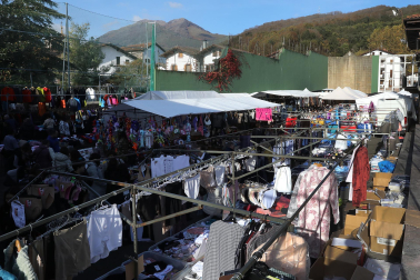 Fotos de la feria de otoño en Santesteban 2024.