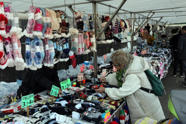 Fotos de la feria de otoño en Santesteban 2024.