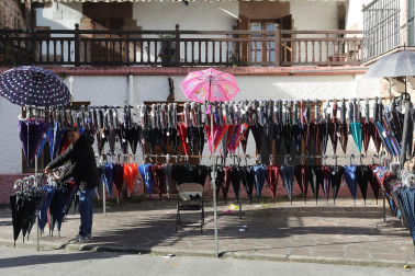 Fotos de la feria de otoño en Santesteban 2024.