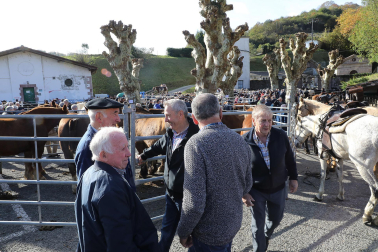 Fotos de la feria de otoño en Santesteban 2024.
