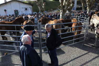 Fotos de la feria de otoño en Santesteban 2024.