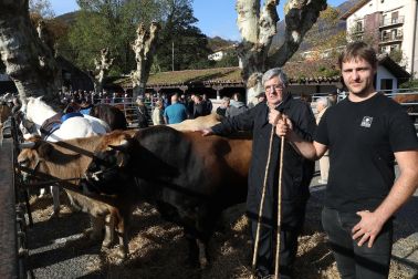 Fotos de la feria de otoño en Santesteban 2024.