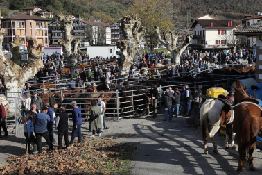 Fotos de la feria de otoño en Santesteban 2024.
