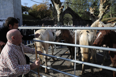 Fotos de la feria de otoño en Santesteban 2024.