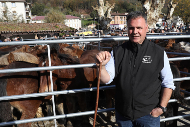 Fotos de la feria de otoño en Santesteban 2024.