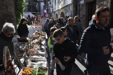 Fotos de la feria de otoño en Santesteban 2024.