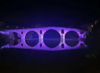 El puente románico de Puente la Reina, iluminado para conmemorar el Día Mundial del Niño Prematuro