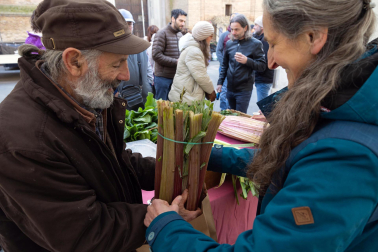 Fotos de las XVI Jornadas del Cardo Rojo de Corella