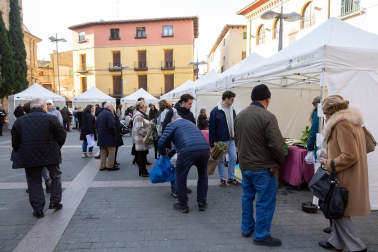 Fotos de las XVI Jornadas del Cardo Rojo de Corella