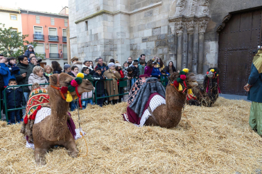 Fotos de la Cabalgata de Reyes de Tudela 2025.