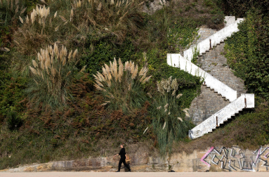 La artista pasa ante un paisaje con presencia de la planta