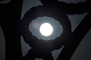 Foto del eclipse solar del 29 de marzo de 2025./