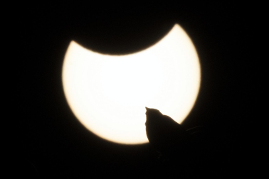Foto del eclipse solar del 29 de marzo de 2025./