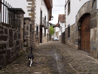 Calle típica de Ochagavía