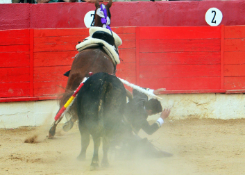 Corrida de rejones en Corella este jueves 1 de mayo con toros de Rosa Rodrigues para Guillermo Hermoso de Mendoza y Sergio Pérez de Gregorio /