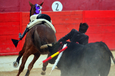 Corrida de rejones en Corella este jueves 1 de mayo con toros de Rosa Rodrigues para Guillermo Hermoso de Mendoza y Sergio Pérez de Gregorio /