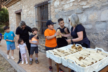 Día del Cristo 2025 en Tudela.