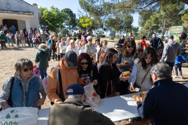 Fiesta de Santa Quiteria 2025 en Tudela.
