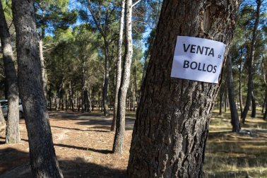 Fiesta de Santa Quiteria 2025 en Tudela.