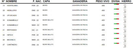 Peso de la novillada de Pincha