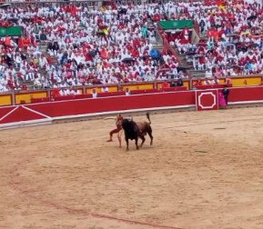Efectiva estocada de Daniel Luque al primer intento