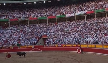 La "gitana loca" y Osasuna también presentes en la plaza de toros