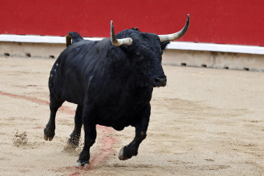 Fotos de la corrida de Fuente Ymbro en la Feria del Toro de San Fermín 2025