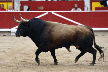 Fotos de la corrida de Fuente Ymbro en la Feria del Toro de San Fermín 2025