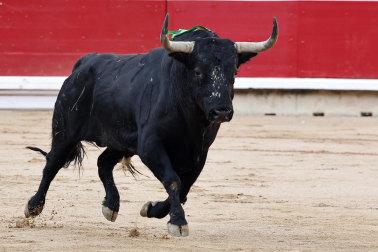 Fotos de la corrida de Fuente Ymbro en la Feria del Toro de San Fermín 2025