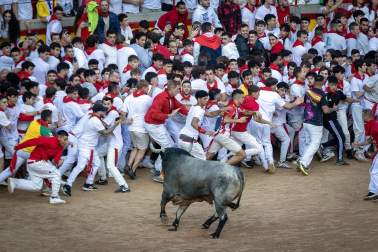Fotos del sexto encierro de San Fermín con toros de Escolar, llegada a la plaza de toros. |