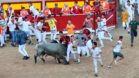 Llegada a la plaza de toros del sexto encierro de San Fermín 2025. |