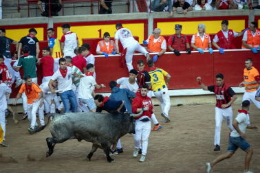 Fotos del sexto encierro de San Fermín con toros de Escolar, llegada a la plaza de toros. |