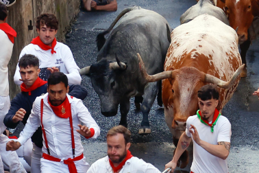 Fotos del sexto encierro de San Fermín con toros de Escolar. |