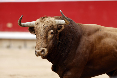 Fotos del Concurso de recortadores de San Fermín 2025 celebrado este sábado, 12 de julio
