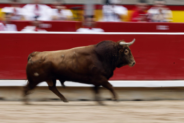 Fotos del Concurso de recortadores de San Fermín 2025 celebrado este sábado, 12 de julio