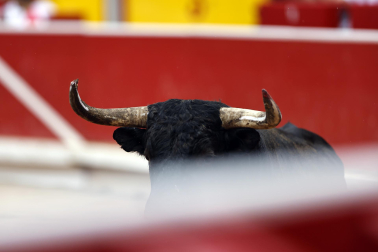 Fotos del Concurso de recortadores de San Fermín 2025 celebrado este sábado, 12 de julio