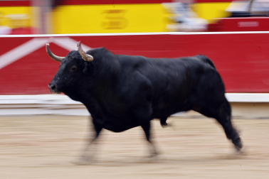 Fotos del Concurso de recortadores de San Fermín 2025 celebrado este sábado, 12 de julio