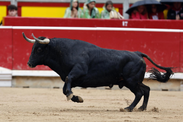 Fotos del Concurso de recortadores de San Fermín 2025 celebrado este sábado, 12 de julio