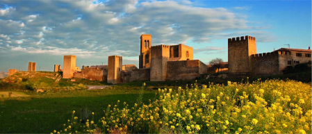 Una bonita vista del Cerco de Artajona.