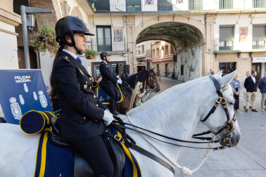 Fotos de la celebración del Día Nacional de la Policía en Tudela /