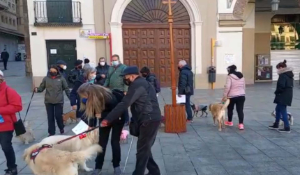 El acto ha comenzado a las 10 horas con la bendición de la Cruz y de los animales realizada por el sacerdote Javier López-Bailo