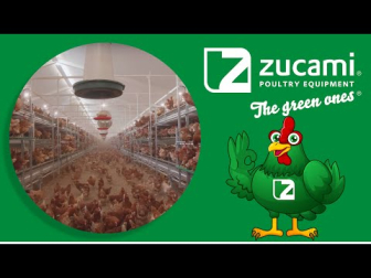 El aviario automático de ZUCAMI para la producción de huevos está diseñado para ofrecer el mayor confort, mejor y más natural movilidad de las aves en el sistema y facilitando las labores diarias de control gracias a una completa visión de todos los elementos