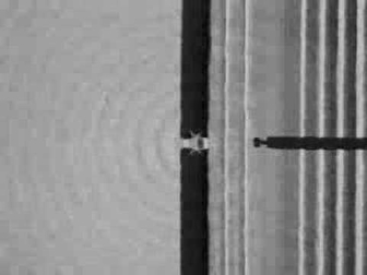Difracción de ondas en una cuba de agua