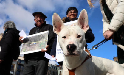 Alrededor de un centenar de personas se han concentrado este domingo en Pamplona para mostrar su rechazo a la práctica de la caza y para criticar la no inclusión de los perros de caza en el proyecto de Ley de Bienestar Animal