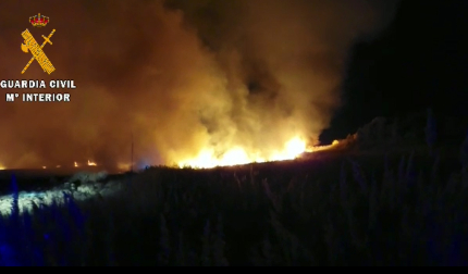 Una superficie de cañizo se ha visto afectada por un incendio en la Balsa de Pulguer, en Cascante