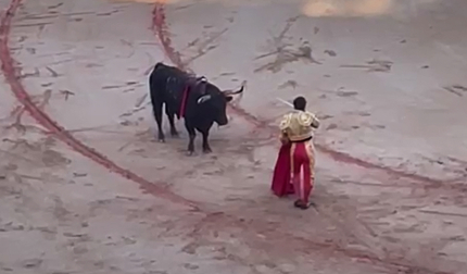 Segunda estocada de Talavante al segundo toro de la corrida del 11 de julio