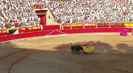 Corrida muy peligrosa con los Miura en la Monumental