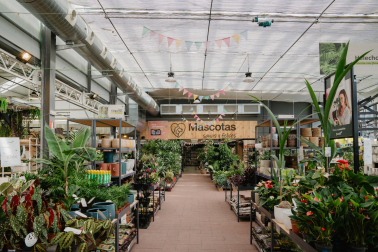 En Fronda tienen más de 20.000 referencias botánicas, las últimas tendencias en decoración y lo mejores para las mascotas.